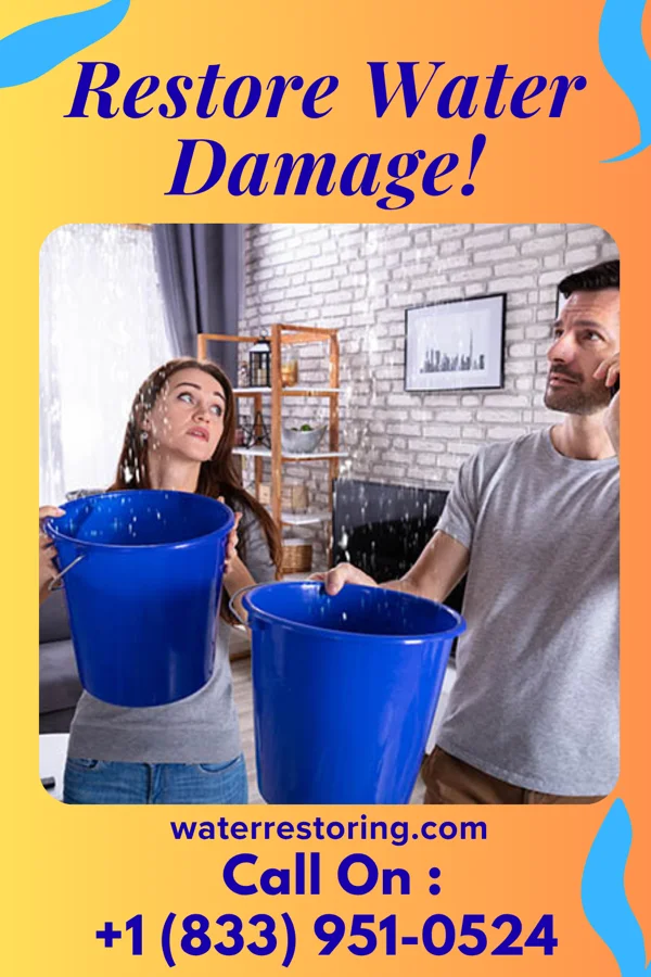 water restoration Southern Extraction Experts Boyertown