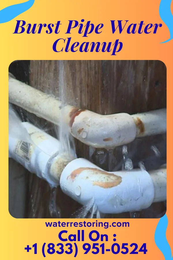 Burst Pipe Water Cleanup in Boyertown, PA