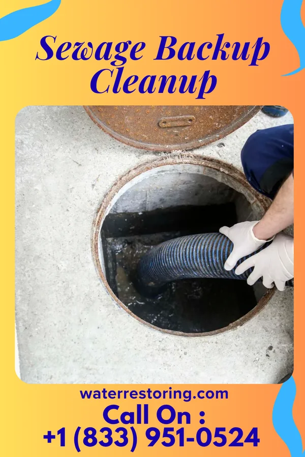 Sewage Backup Cleanup in Boyertown, PA